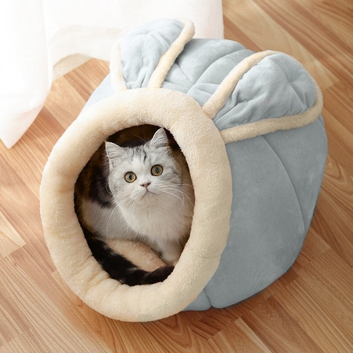 Liten Katt Koja