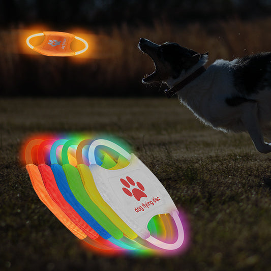 Lysande LED Frisbee