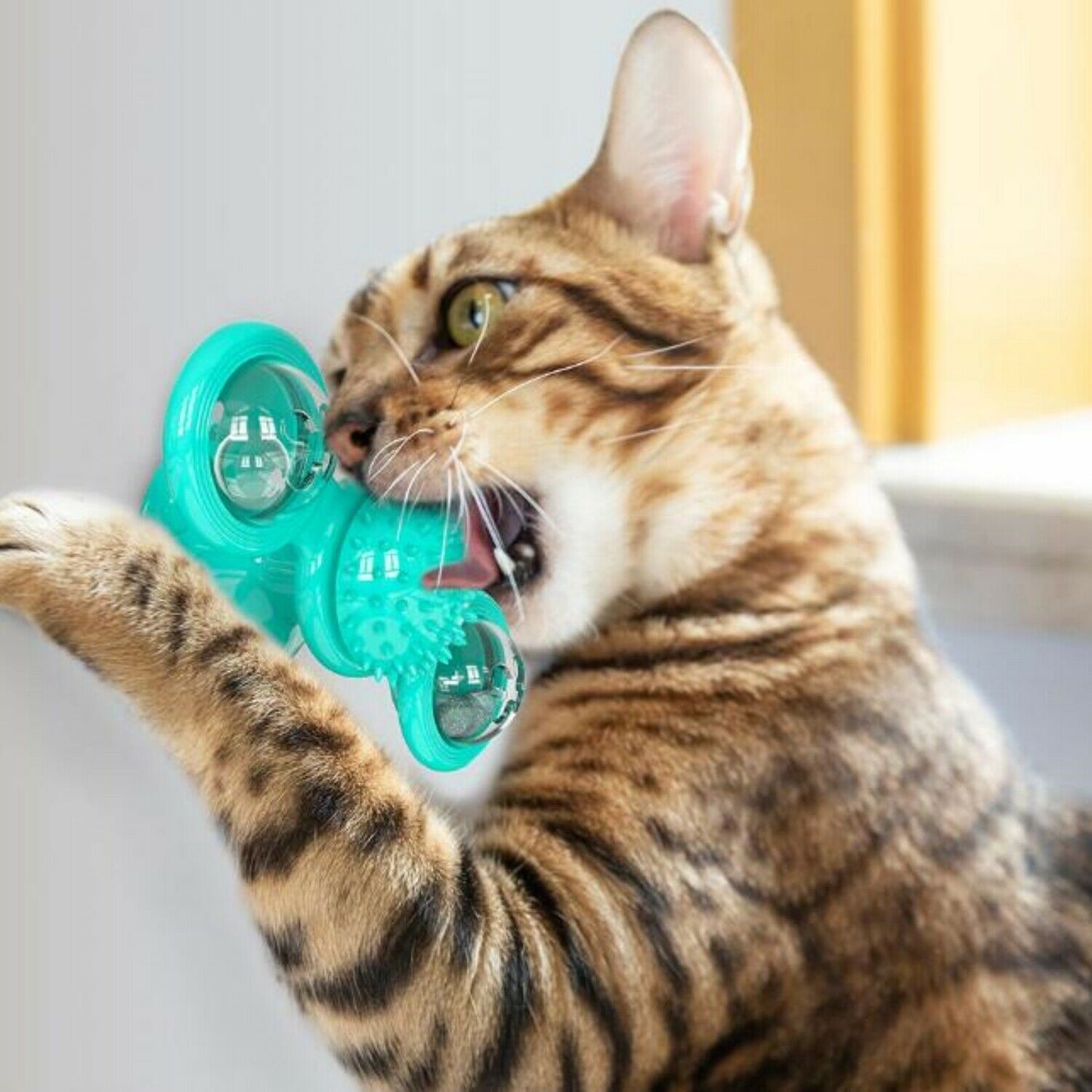 Fidget Sug Propp