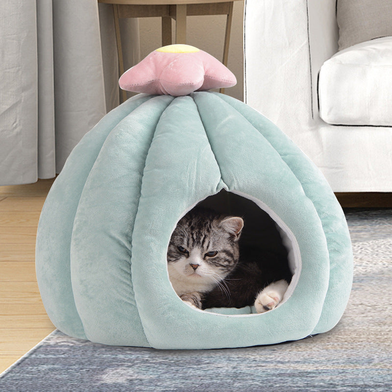 Kattsäng