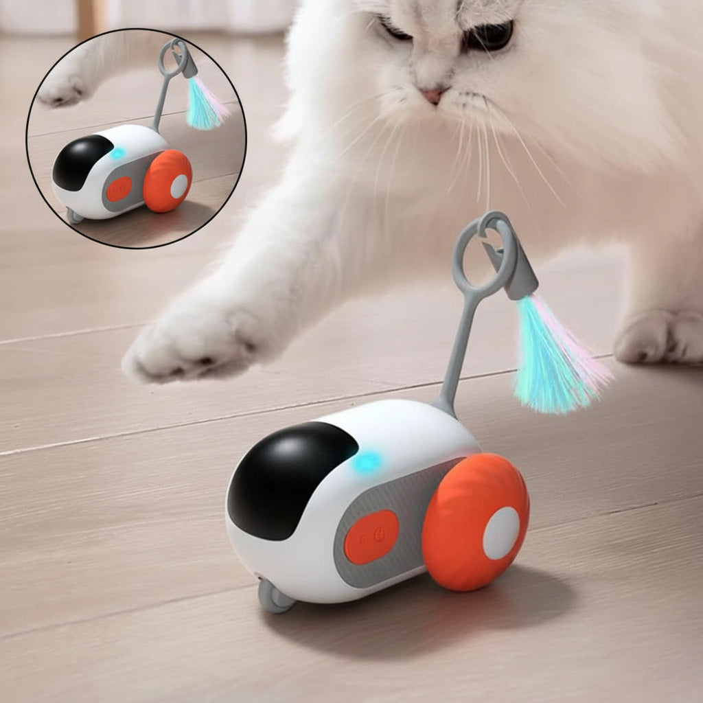 Purr-Racer – Interactive Bil för Katten