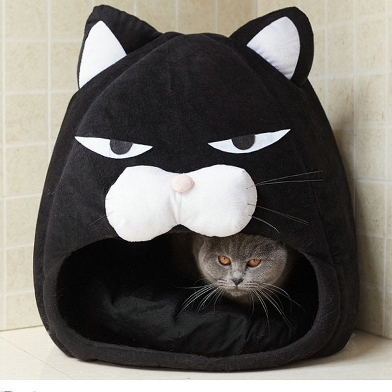 Rolig Katt Koja