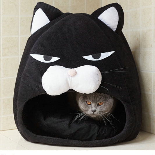 Rolig Katt Koja