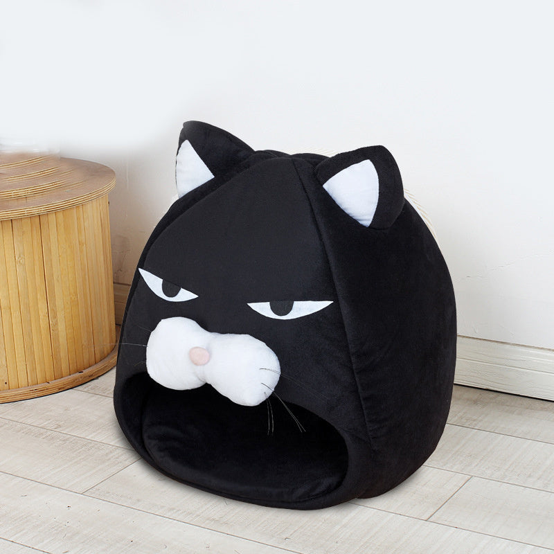 Rolig Katt Koja