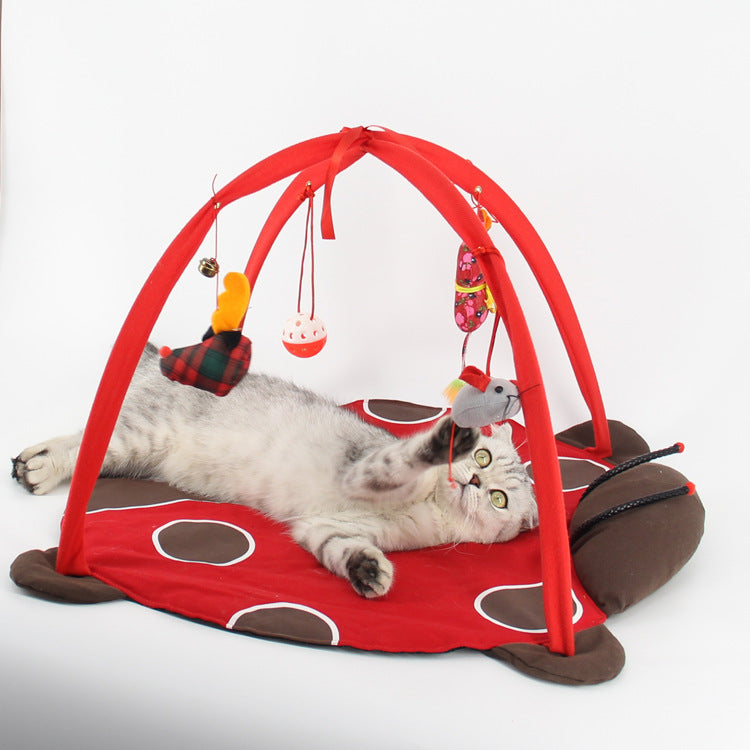 Katt Leksäng