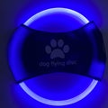 Lysande LED Frisbee