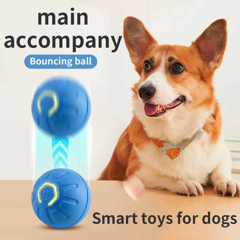Laddningsbar Automatisk Lekboll