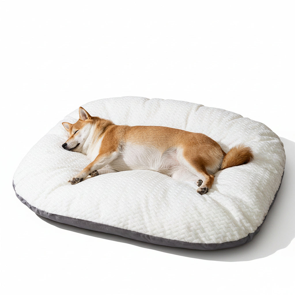 Mjuk hunddyna Hundmadrass