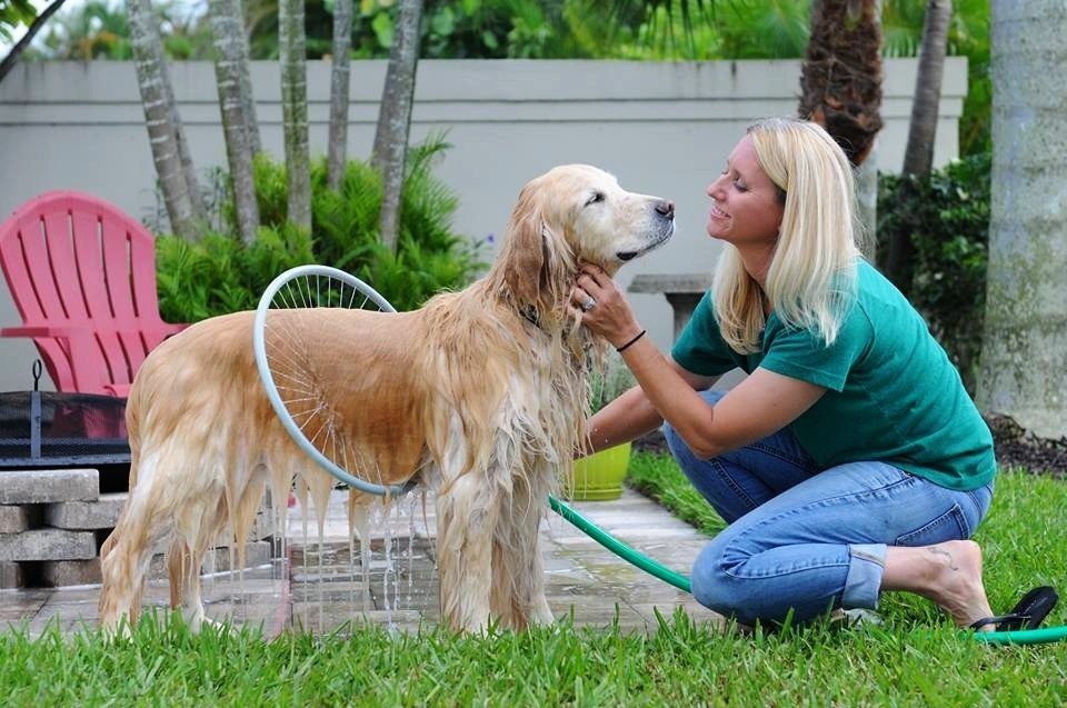 360 Graders Hund Tvätt
