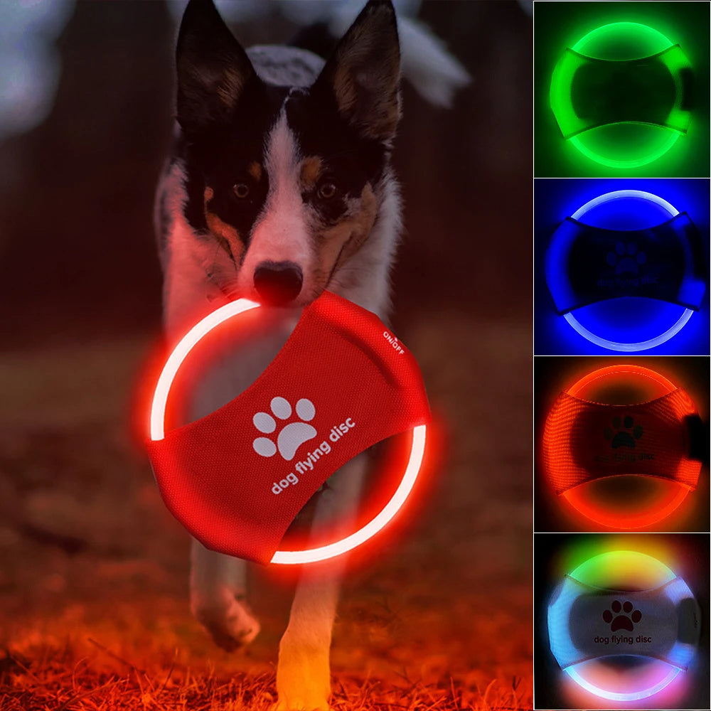Lysande LED Frisbee