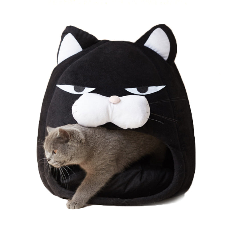 Rolig Katt Koja