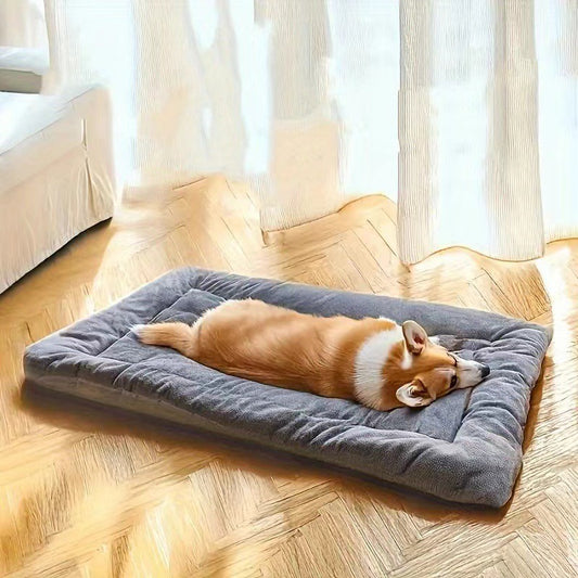 Hund Säng