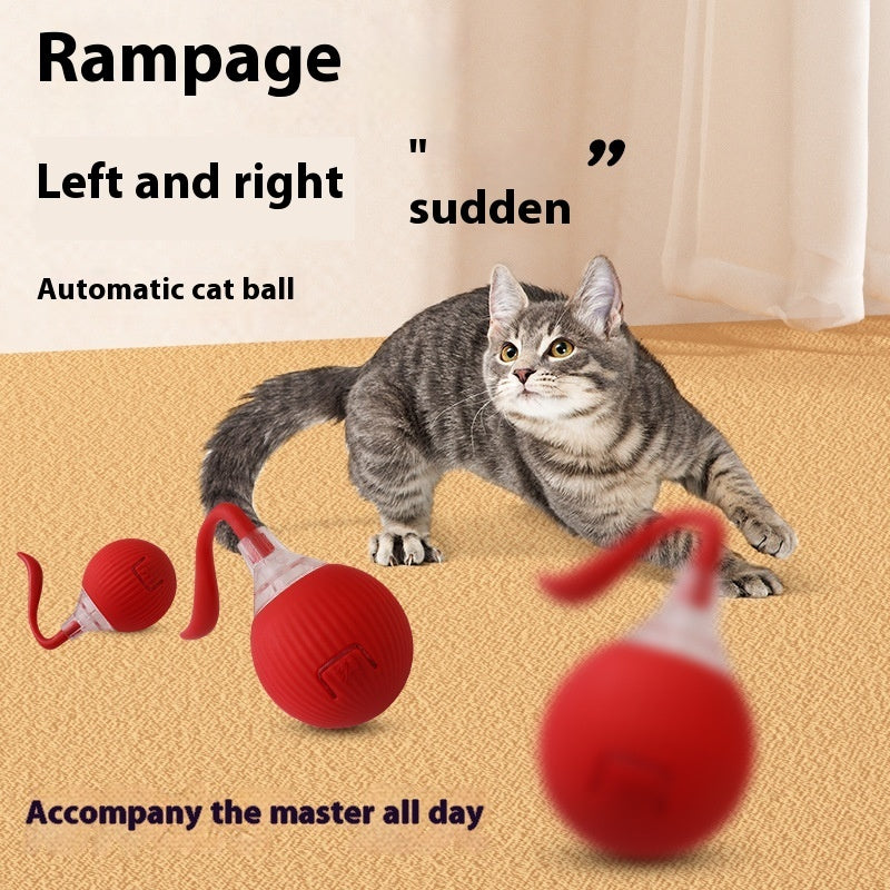 Katt Lek Boll Med Svans