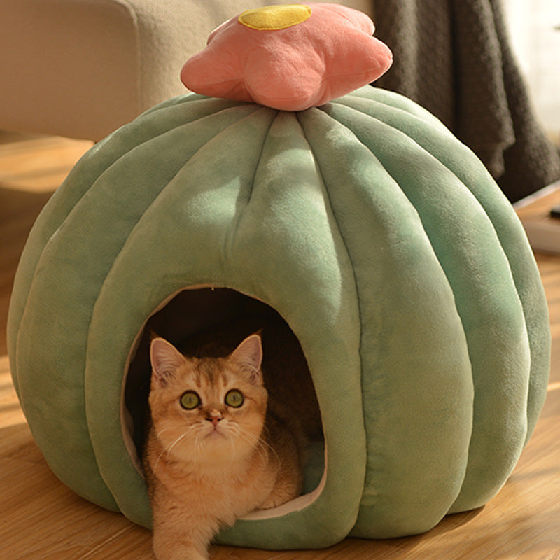 Gulligt Katt Näste