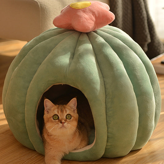 Gulligt Katt Näste