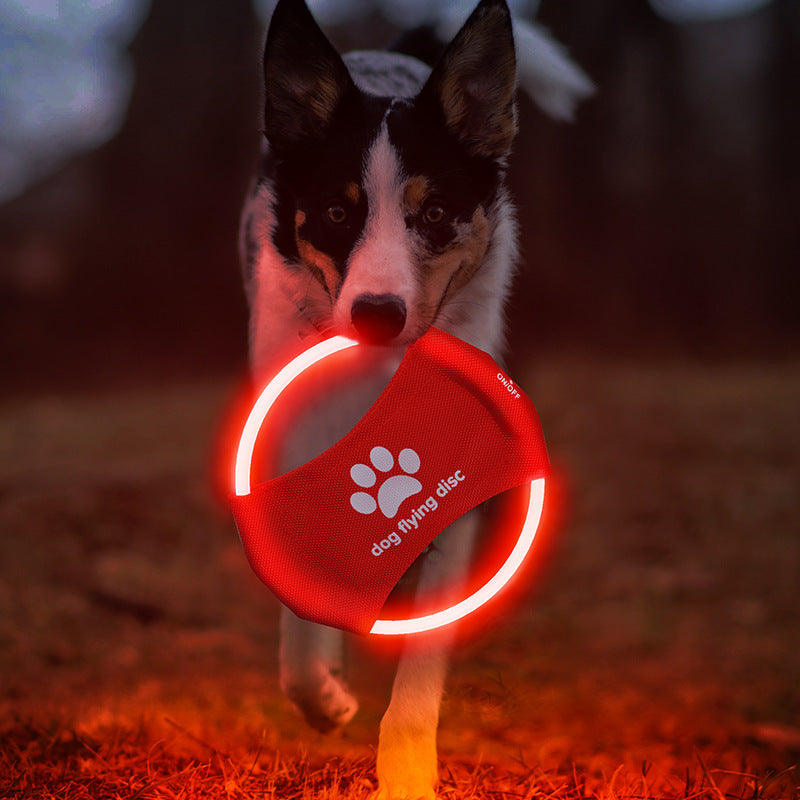 Lysande LED Frisbee