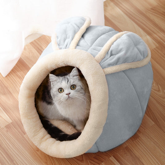 Liten Katt Koja
